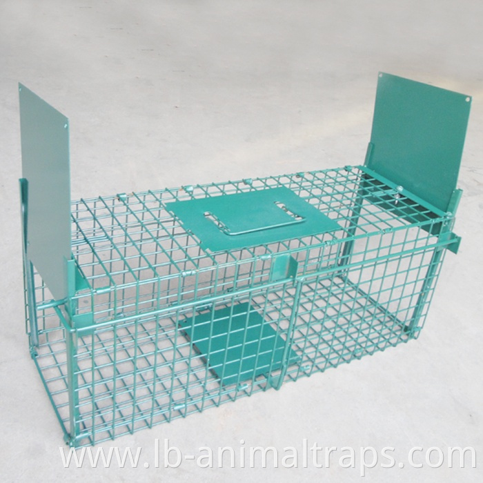 LB-22B Collapsible Double Doors Green Color Pest Animal Trap Cages For Squirrels Rabbits Cats Raccoons China Suppliers